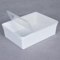 BraPlast Pudełko Pojemnik Hodowlany 25szt 25x19x7,5 cm 3 L BIAŁY z Klapą i wentylacją