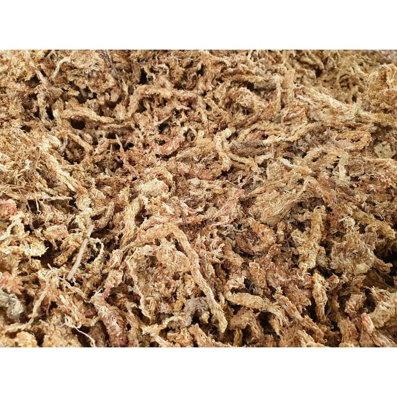 100g Natural Terrarium Moss Reptile for Turtle Moss Substrate