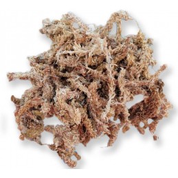 Mech Sphagnum Moss 4,5kg do Terrarium dla Płazów i Gadów