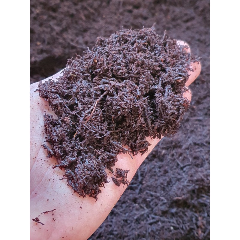 Sphagnum Peat Moss 250g - Terrarium Substrate for Amphibians or