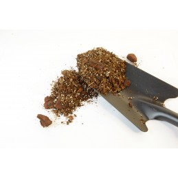 IMSOIL Substrate for ALOCASIA PLANTS with Biofertilizer