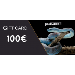 Karta Podarunkowa 100 euro