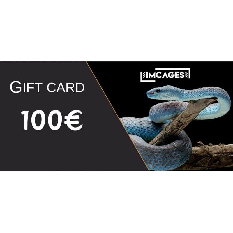 Gift Card 100 euros - imcages