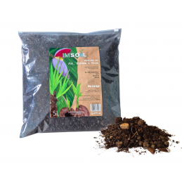 IMSOIL Podłoże do Juk, Dracen i Palm